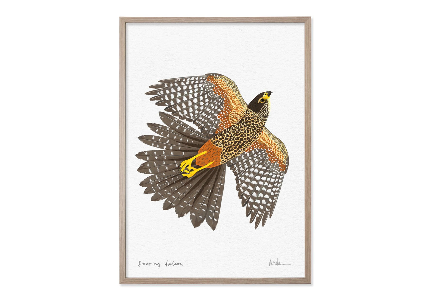 Melissa Boardman Art Prints