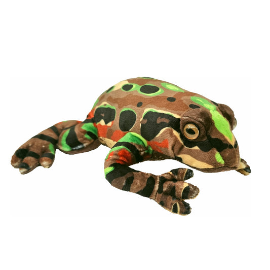 Archey's Frog Soft Toy