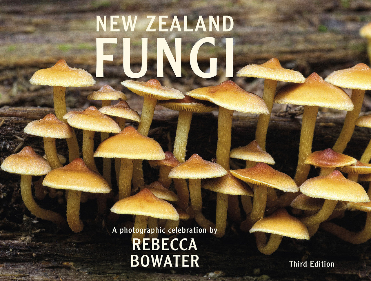 New Zealand Fungi