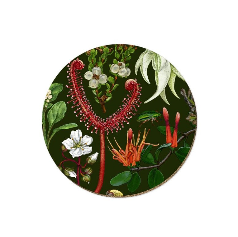 Native Flora Coasters