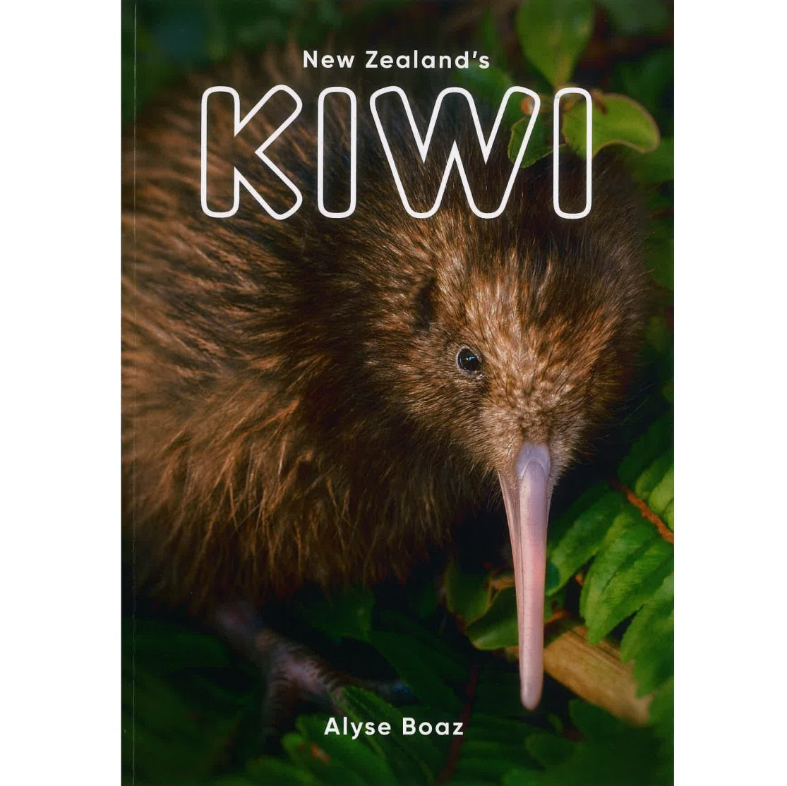 New Zealand's Kiwi