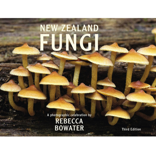 New Zealand Fungi