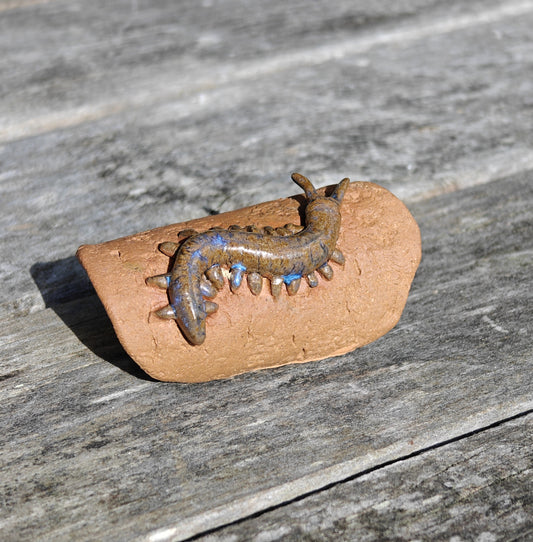 Ruth Corkill Ceramic Peripatus
