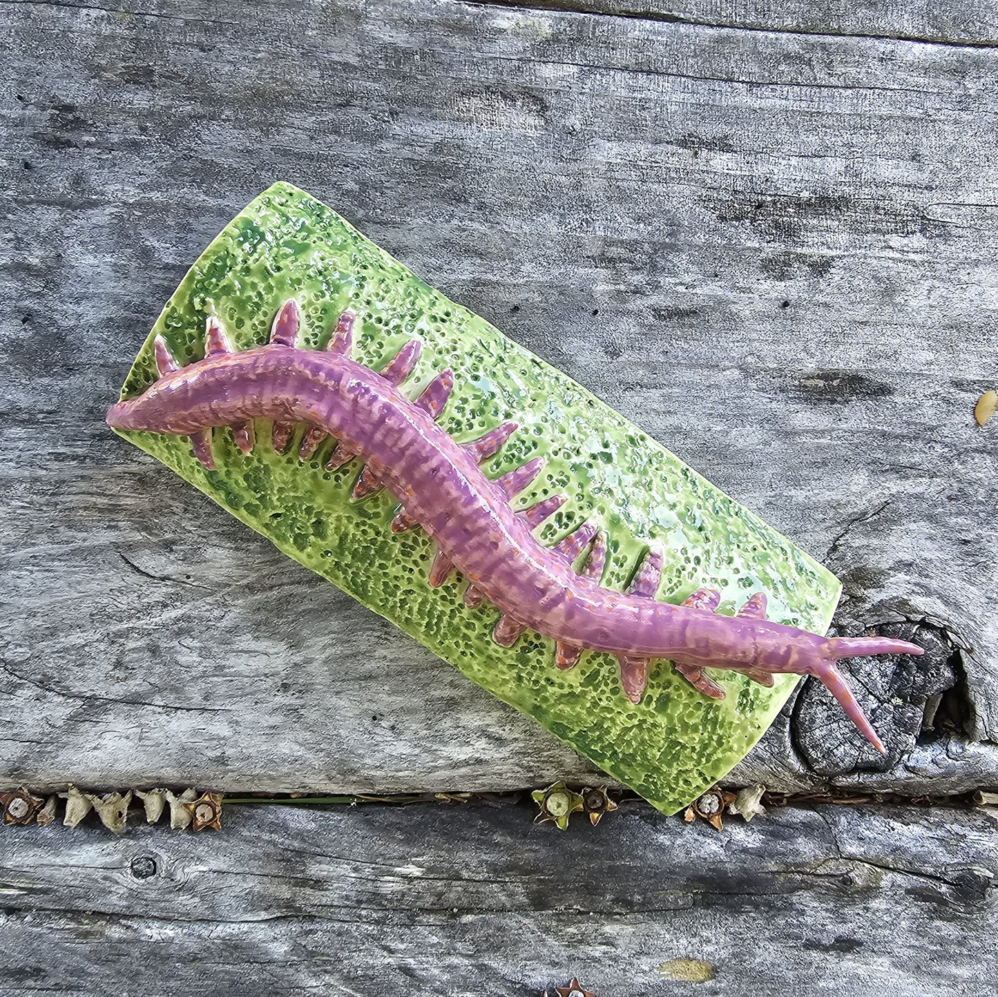 Ceramic Ngāokeoke / Velvet Worm