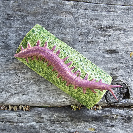 Ceramic Ngāokeoke / Velvet Worm