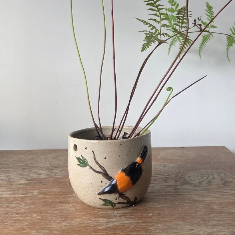 Ceramic Hanging Plant Pots