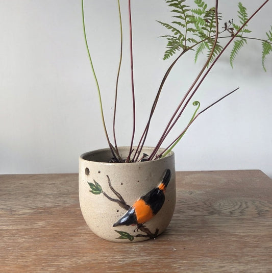 Ceramic Hanging Plant Pots