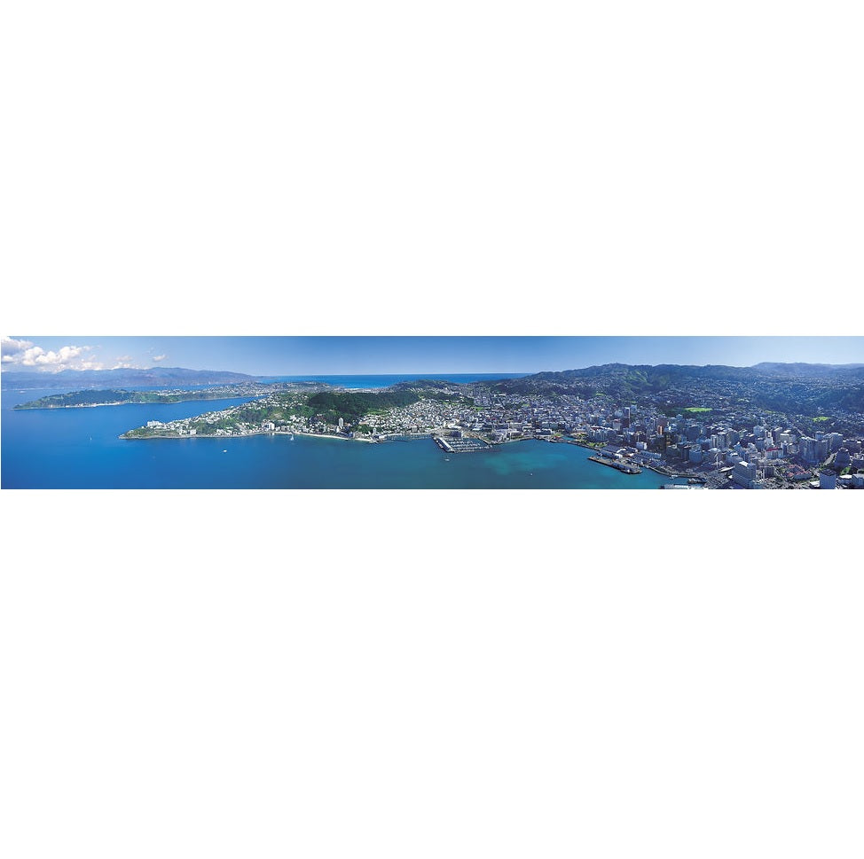 Wellington Panoramic Postcard