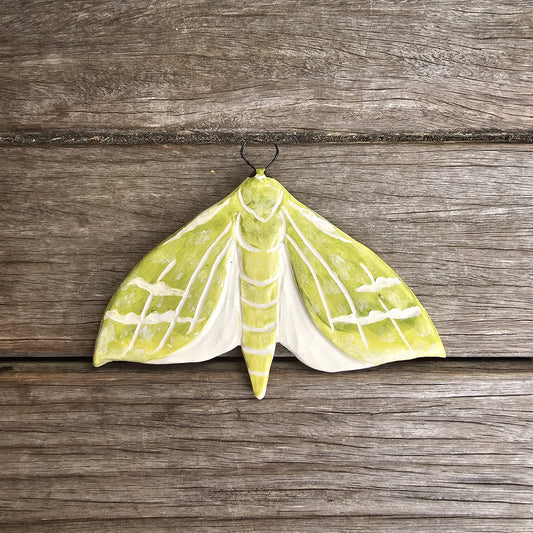 Pūriri Moth Ceramic Wall Tile