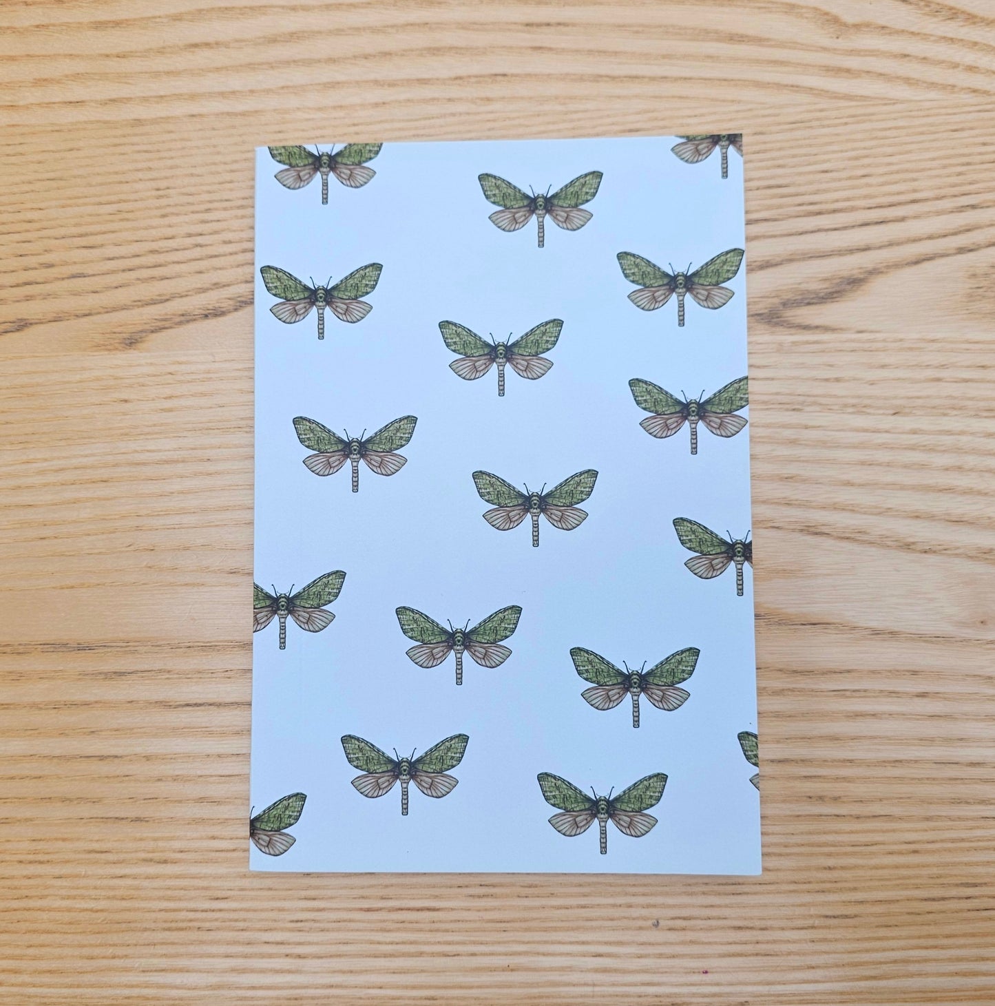 Zealandia Notebook