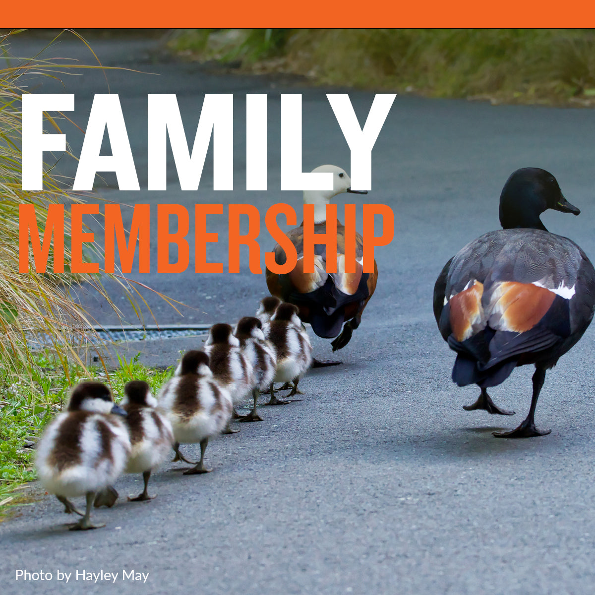 Zealandia Gift Membership - Family