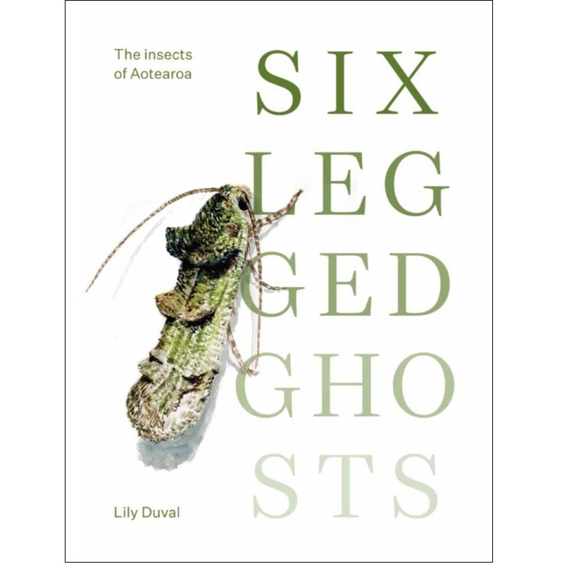 Six Legged Ghosts: The Insects of Aotearoa