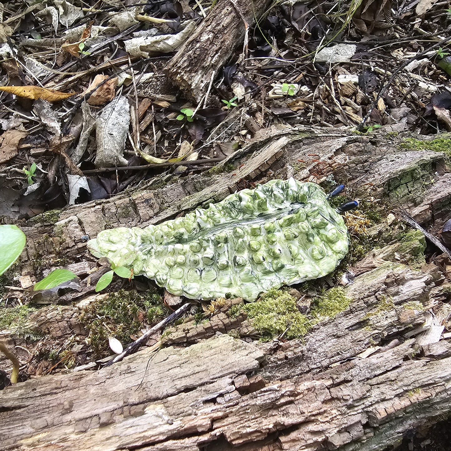 Ceramic Putoko Ropiropi  / Gherkin Slug