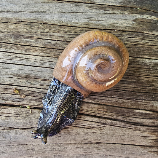 Ceramic Kauri Snail / Pupurangi