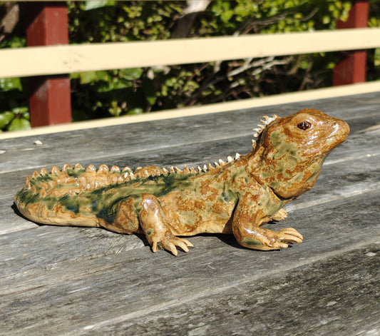 Ruth Corkill Ceramic Tuatara - Medium