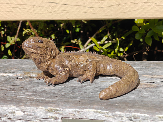 Ruth Corkill Ceramic Tuatara