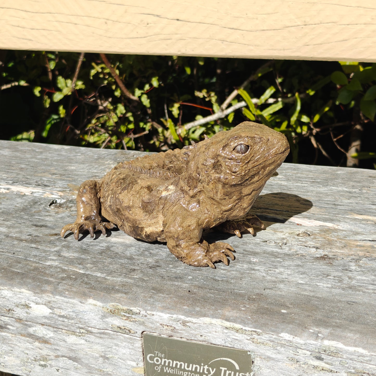 Ruth Corkill Ceramic Tuatara