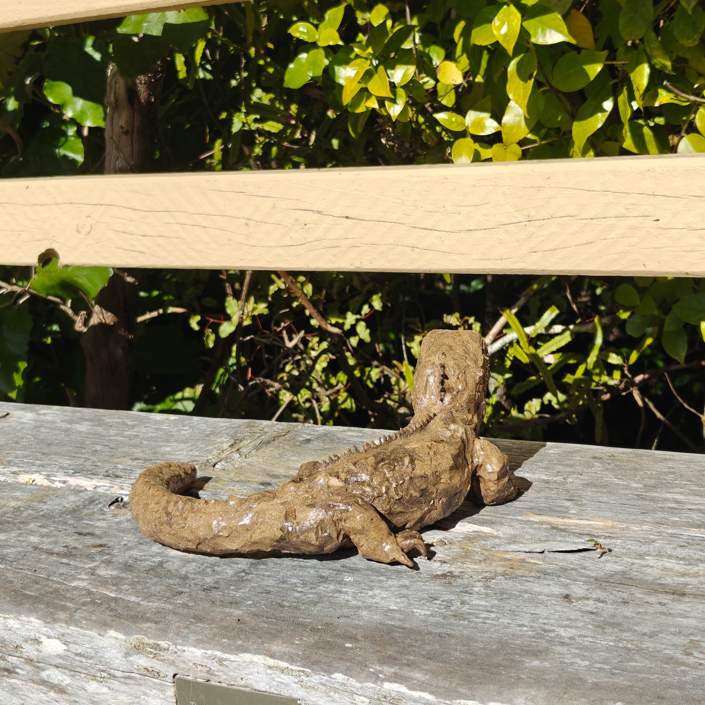 Ruth Corkill Ceramic Tuatara