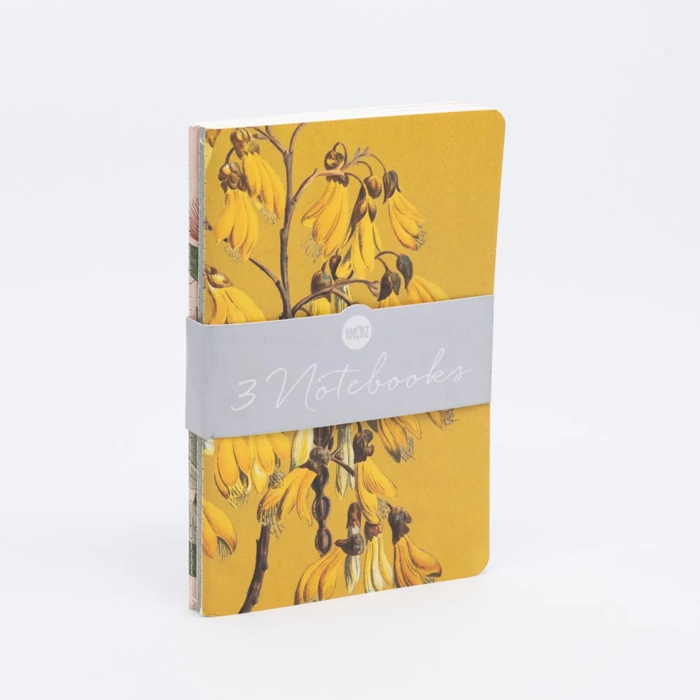 Notebooks - Set of 3