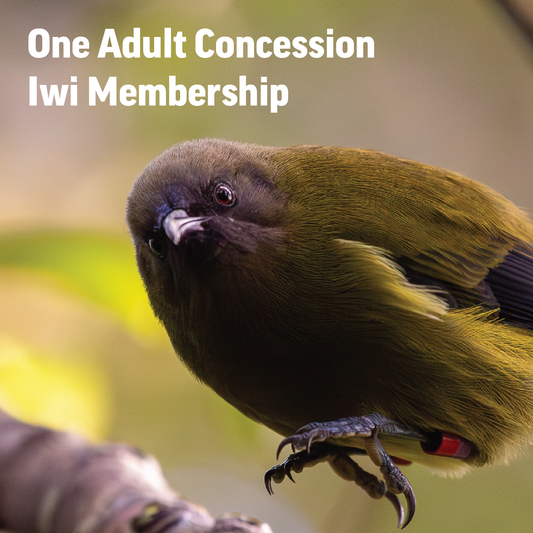 Zealandia Iwi Membership - One Adult Concession