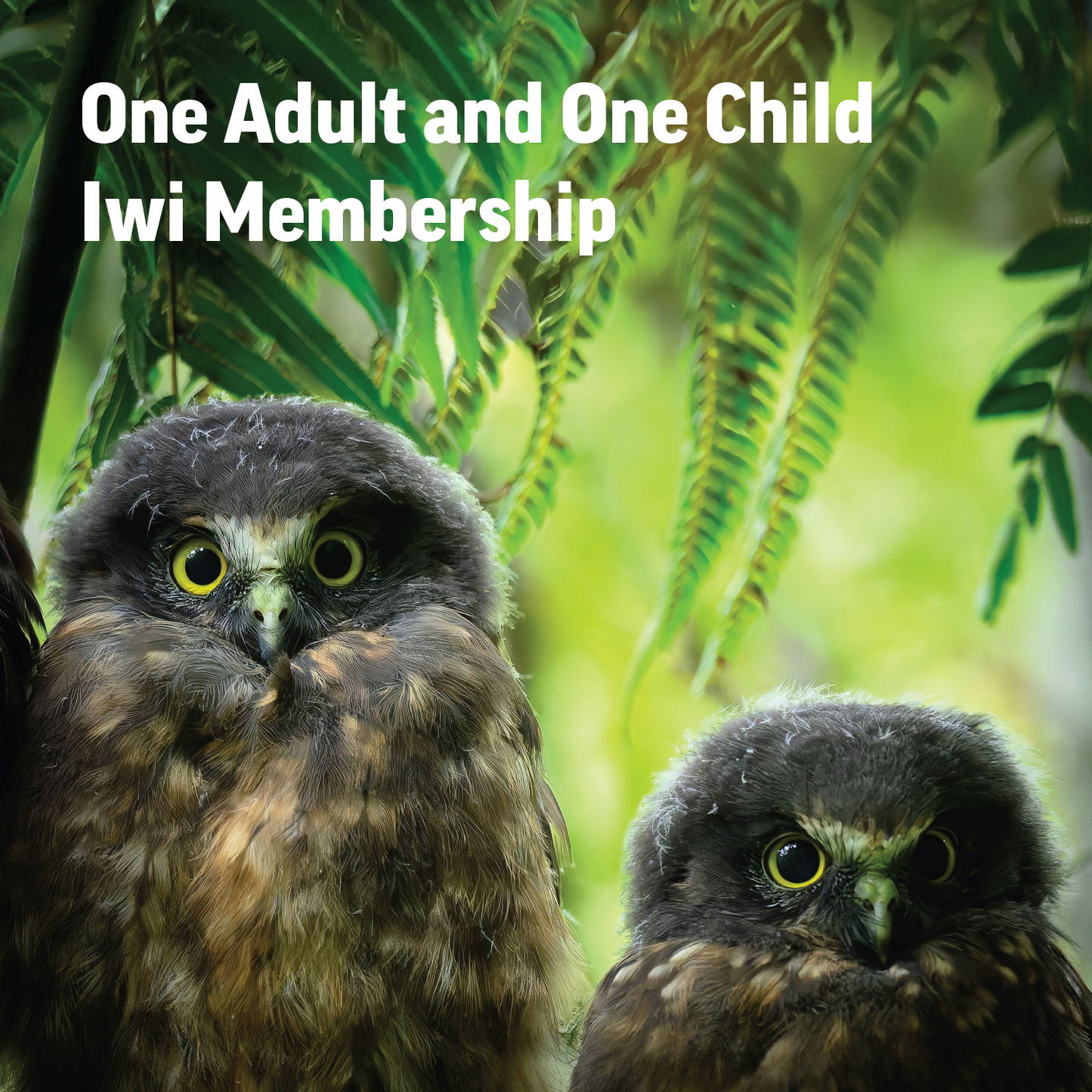 Zealandia Iwi Membership - One Adult and One Child