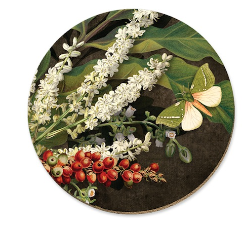 Native Flora Coasters