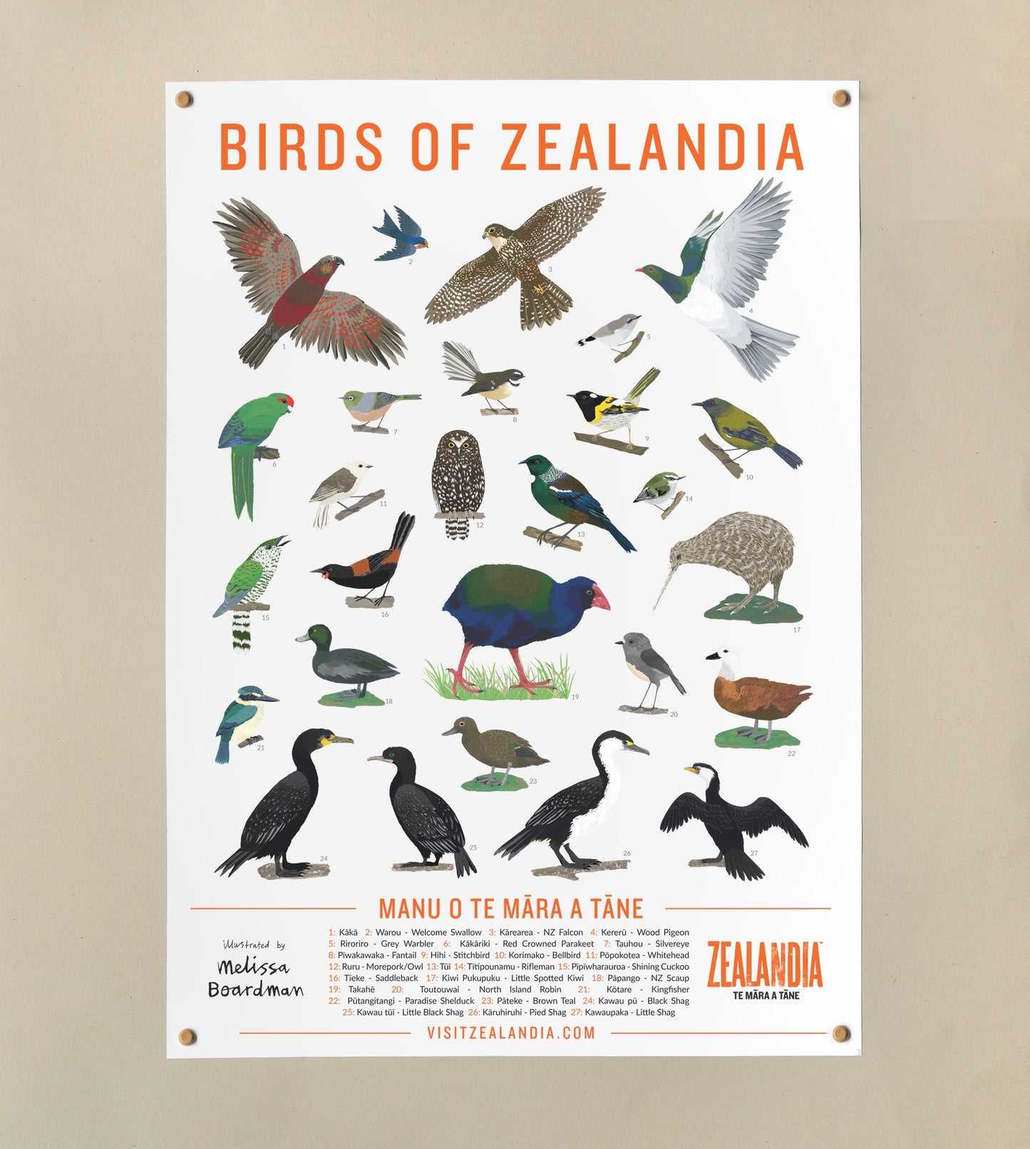 Melissa Boardman - Zealandia Bird Poster