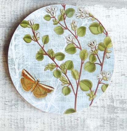 Native Flora Coasters