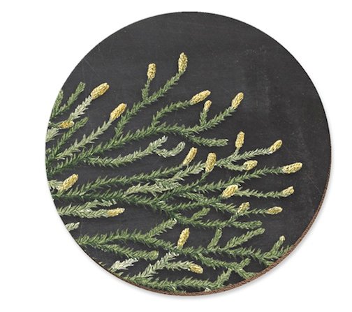 Native Flora Coasters