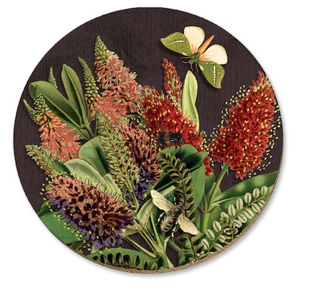 Native Flora Coasters