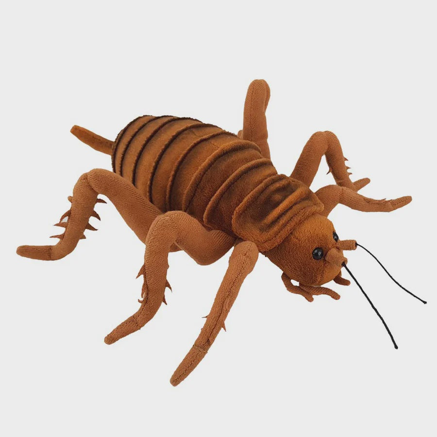 Giant Wētā Soft Toy