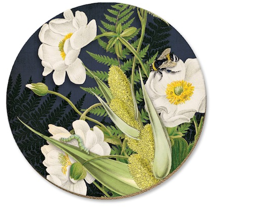 Native Flora Coasters