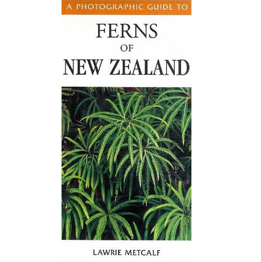 A Photographic Guide to Ferns of New Zealand