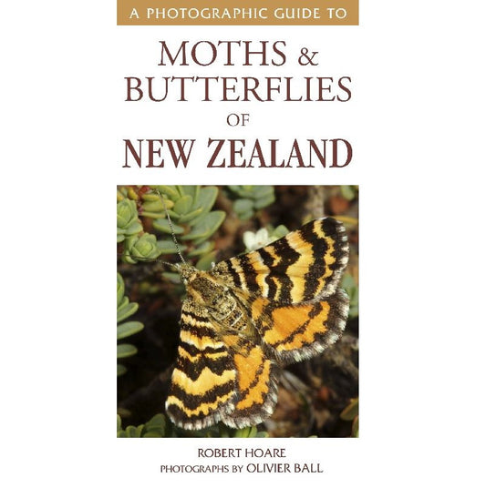 A Photographic Guide to Moths and Butterflies of New Zealand
