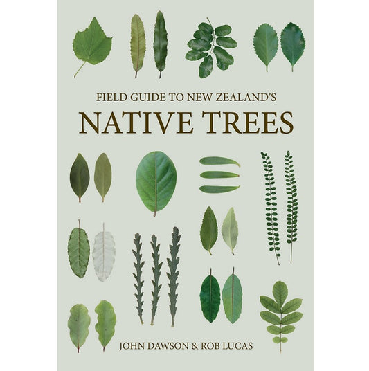 Field Guide to New Zealand's Native Trees