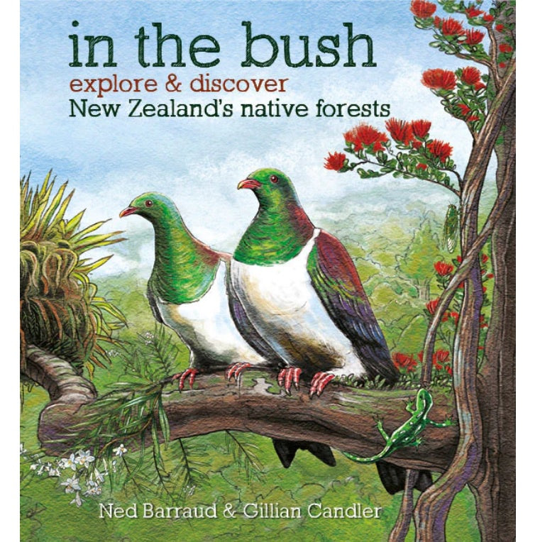 In the Bush: Explore & Discover New Zealand's Native Forests