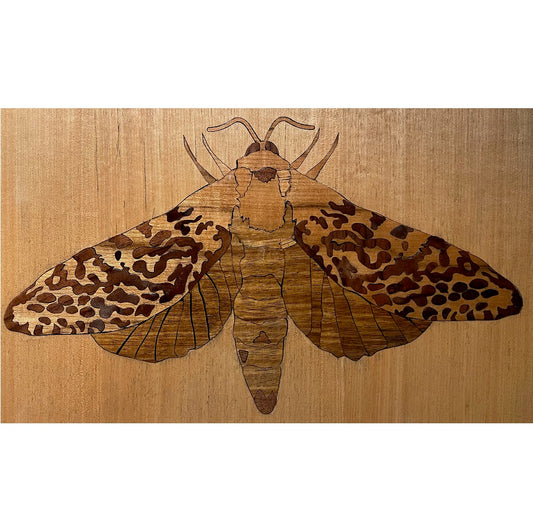Katy Cottrell Marquetry