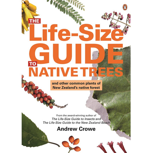 The Life Size Guide To Native Trees