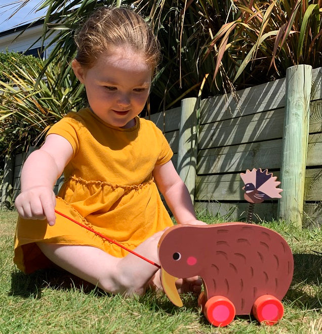 Wheelie Kiwi Pull Along Toy