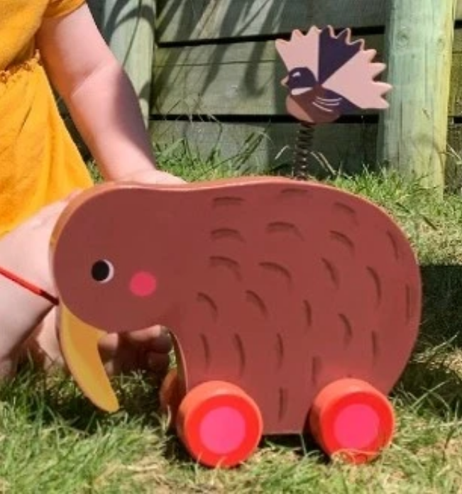 Wheelie Kiwi Pull Along Toy