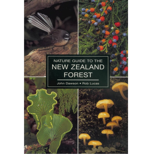 Nature Guide to the New Zealand Forest