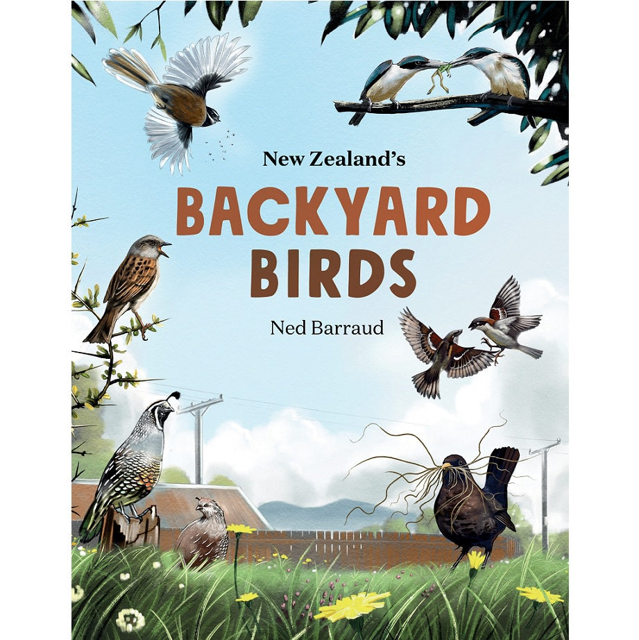 New Zealand's Backyard Birds