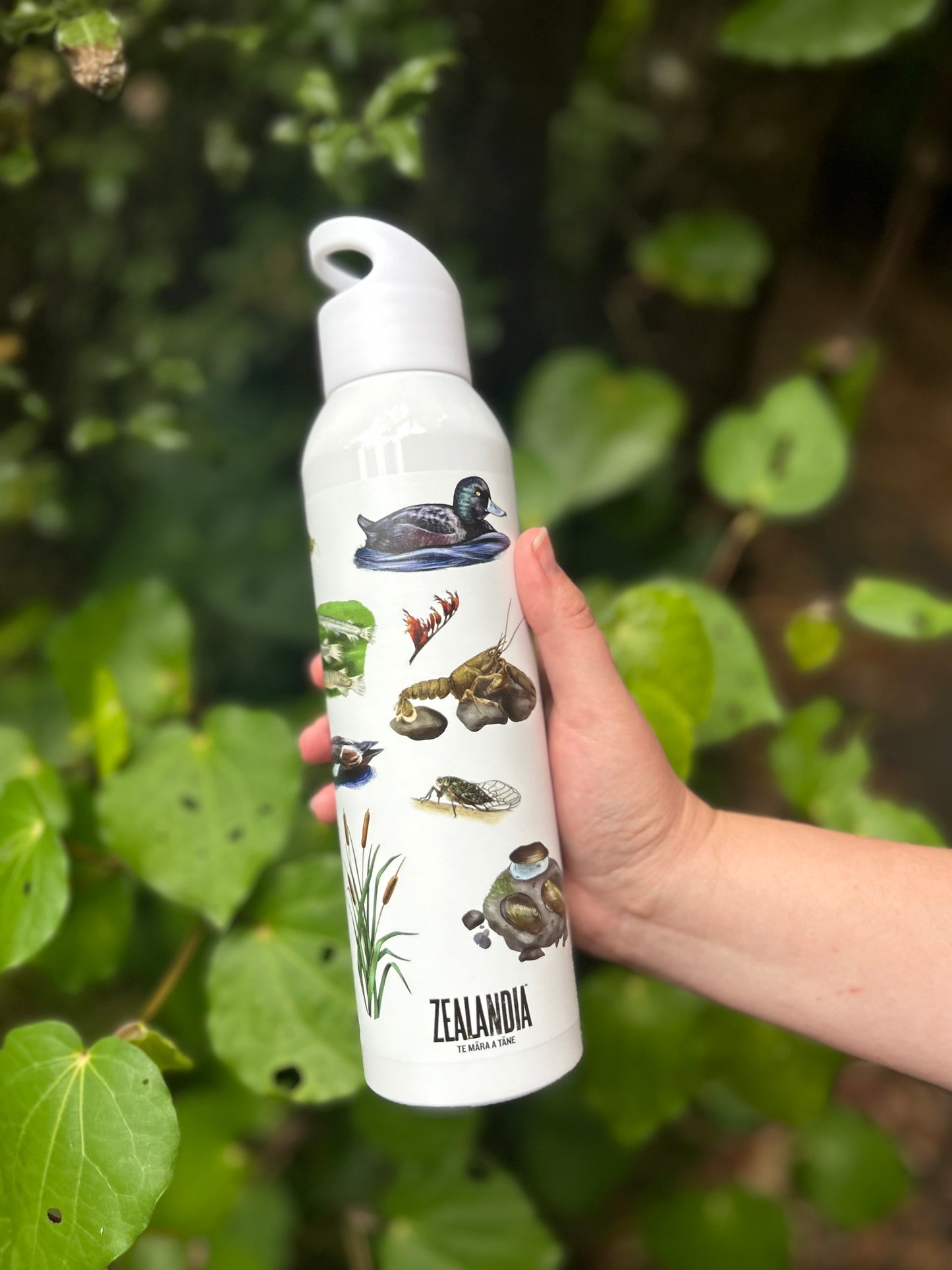 Zealandia Water Bottle 700ml