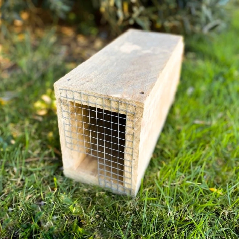 Wooden Tunnel With Rat & Mouse Traps