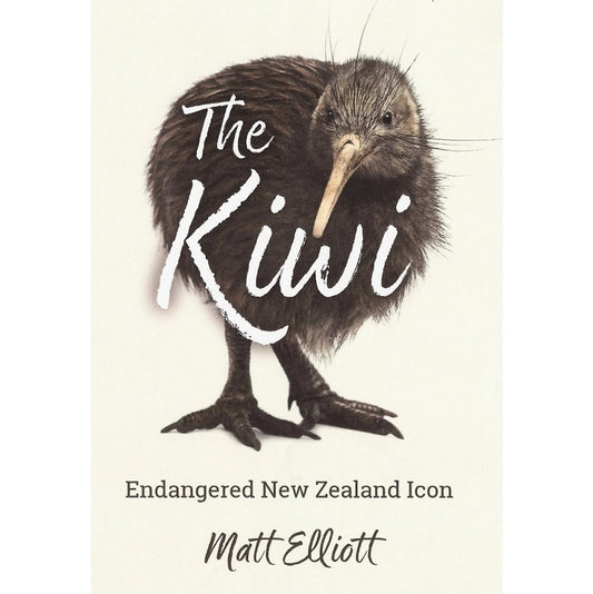 The Kiwi - Endangered New Zealand Icon