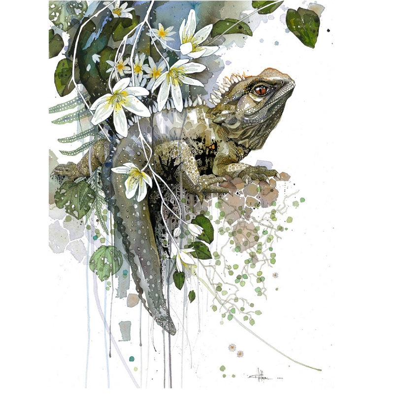 Rachel Walker Watercolour Artwork Prints – Zealandia Rachel Walker Watercolour Artwork Prints – Zealandia