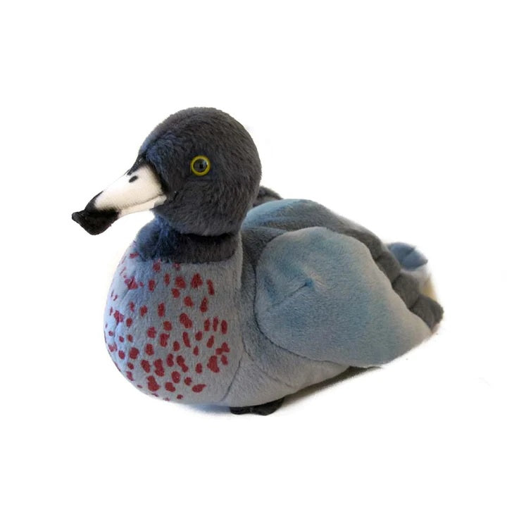 Whio / Blue Duck Soft Toy With Sound