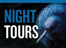 Zealandia By Night Tour Gift Voucher