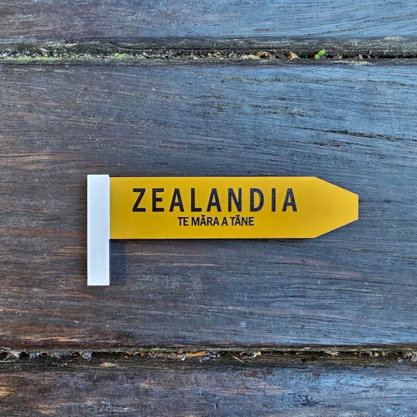 Zealandia Road Sign Magnet